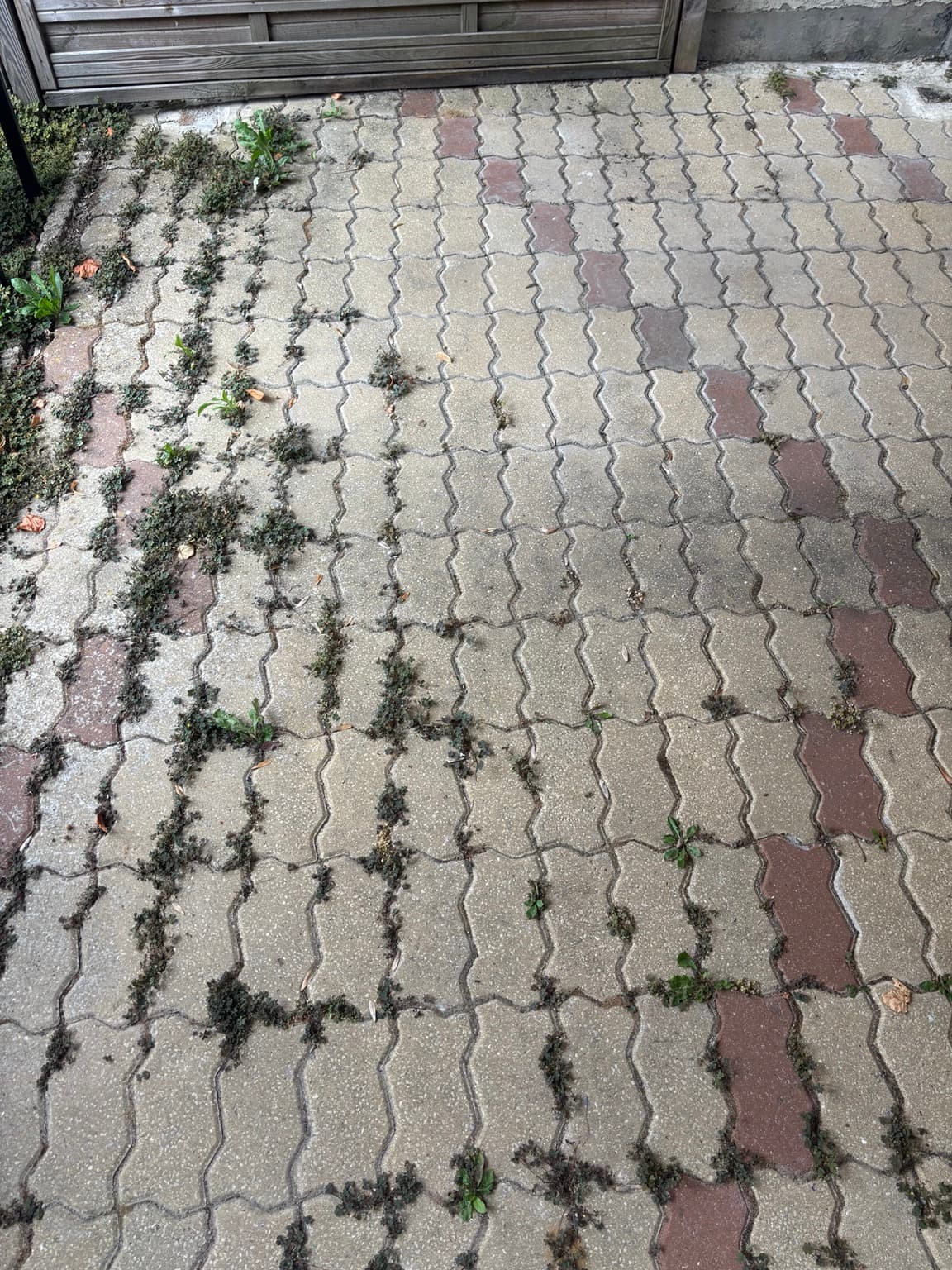 Zone pavée avant nettoyage Maison Neuve